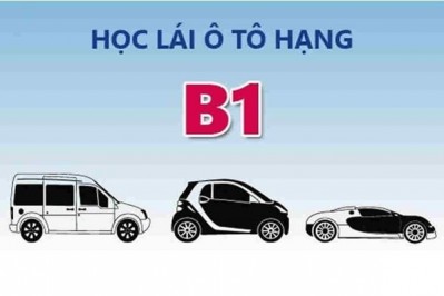 Thủ tục đăng ký học lái xe B1 số tự động tại Hà Nội